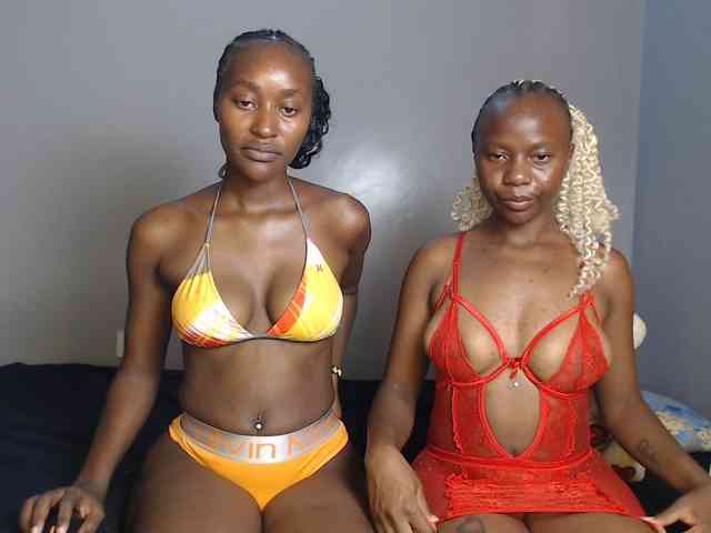 Secretarysandy2 webcam