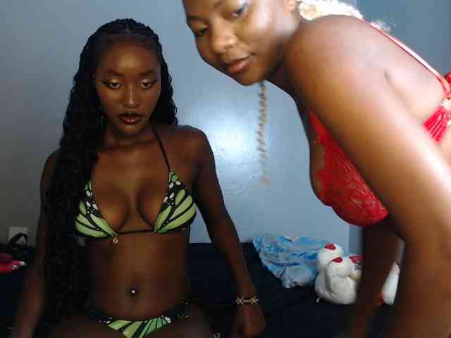 Secretarysandy2 webcam