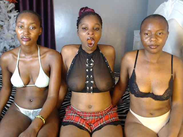 Secretarysandy2 webcam