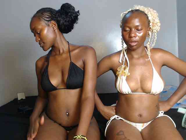 Secretarysandy2 webcam