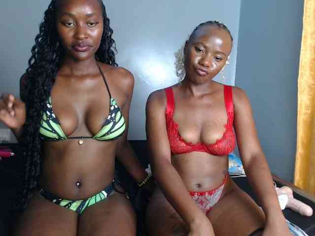 Secretarysandy2 webcam