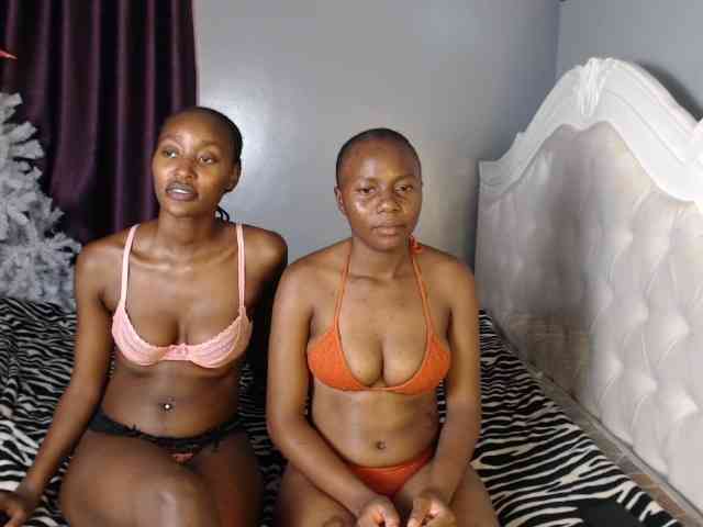 Secretarysandy2 webcam