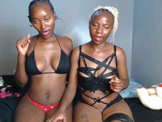 Secretarysandy2 webcam