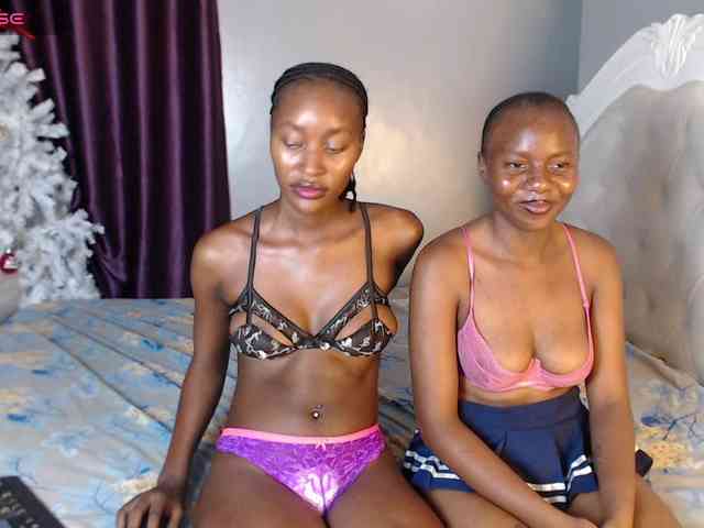 Secretarysandy2 webcam