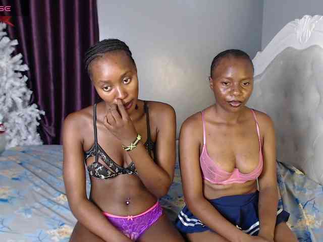 Secretarysandy2 webcam