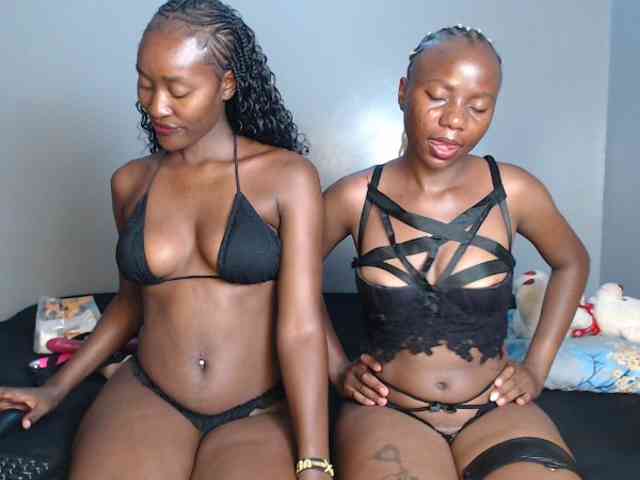 Secretarysandy2 webcam