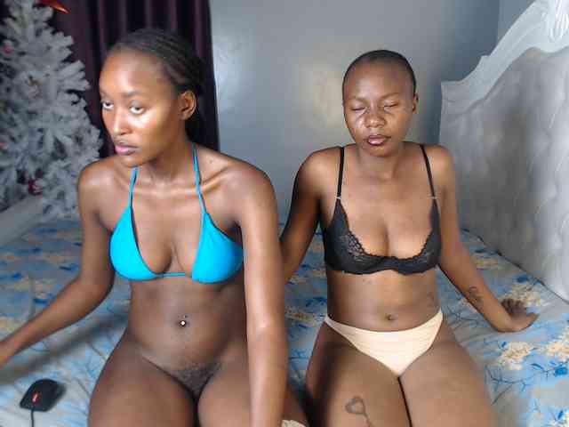 Secretarysandy2 webcam