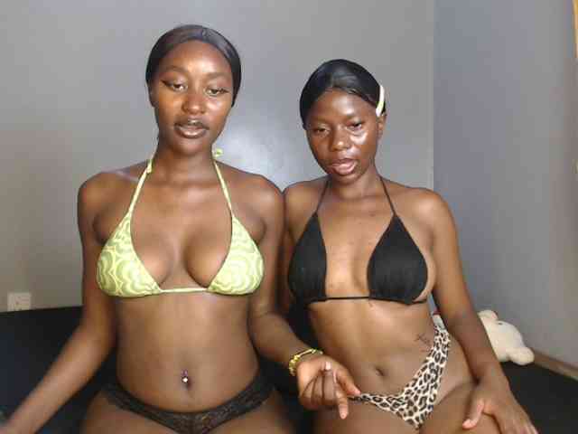 Secretarysandy2 webcam