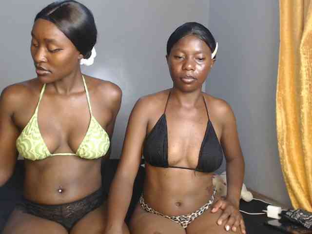 Secretarysandy2 webcam