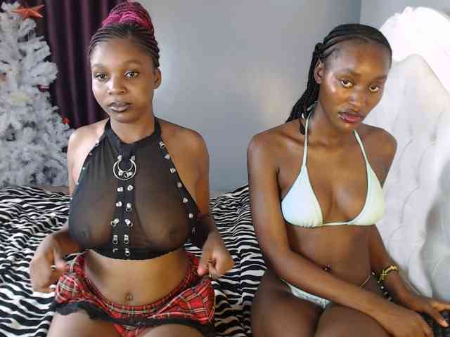 Secretarysandy2 webcam