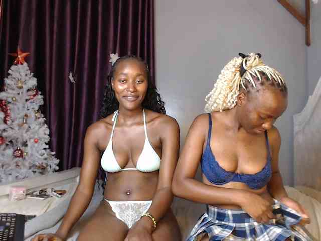 Secretarysandy2 webcam