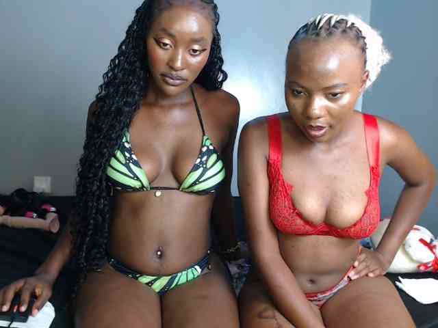 Secretarysandy2 webcam