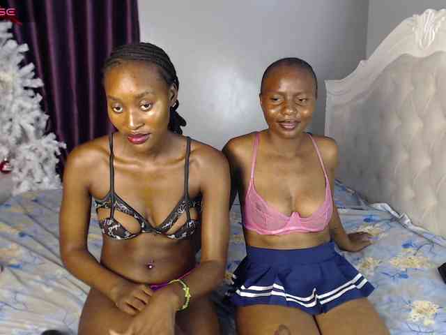 Secretarysandy2 webcam