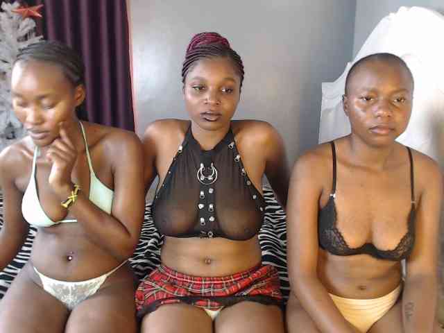 Secretarysandy2 webcam