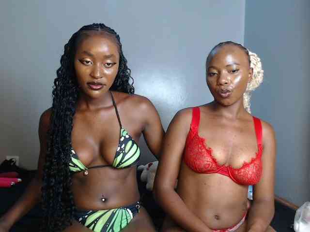 Secretarysandy2 webcam