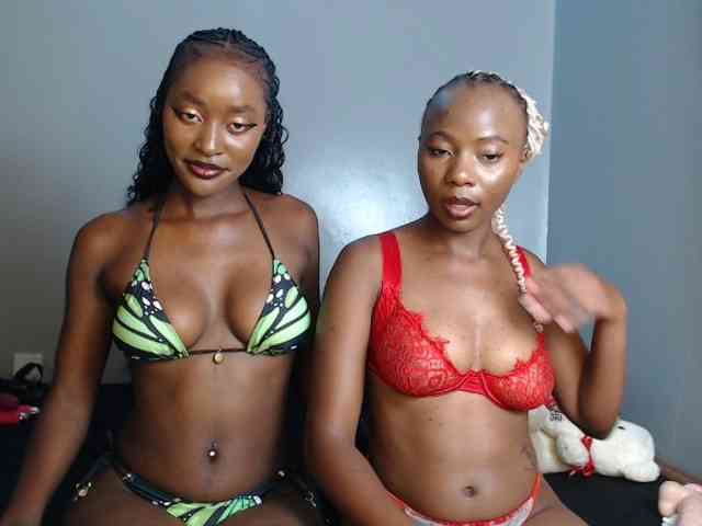 Secretarysandy2 webcam