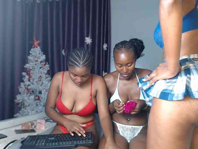 Secretarysandy2 webcam