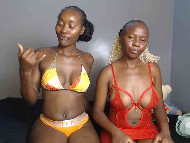 Secretarysandy2 webcam