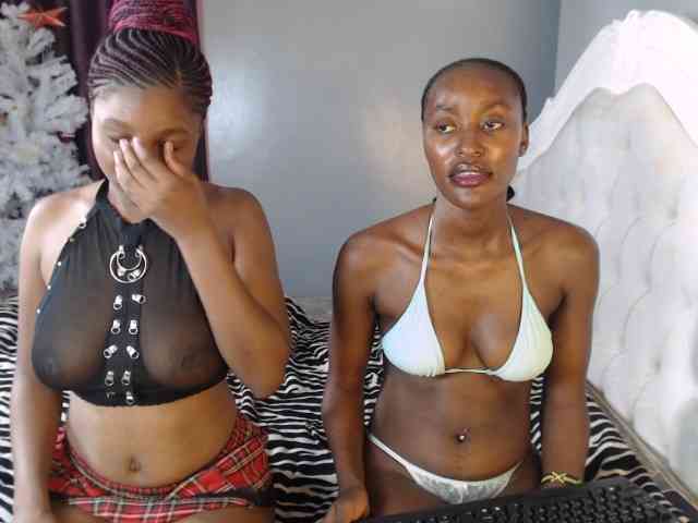 Secretarysandy2 webcam