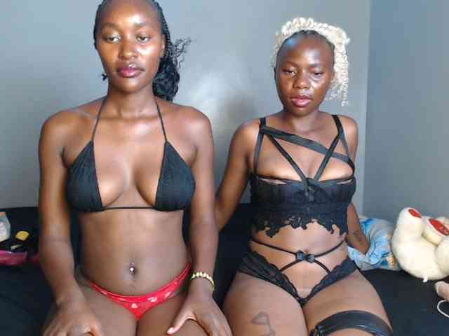 Secretarysandy2 webcam