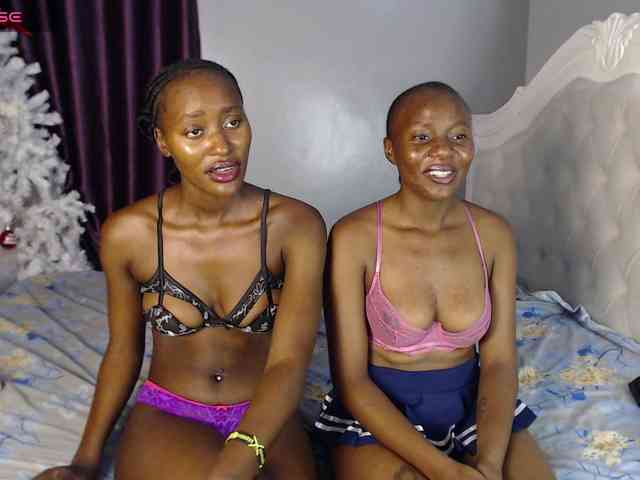 Secretarysandy2 webcam