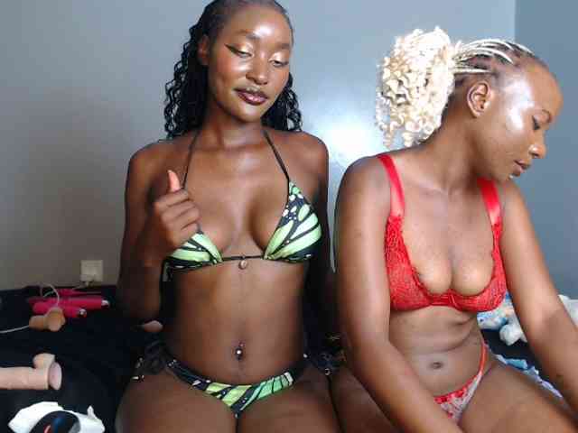 Secretarysandy2 webcam