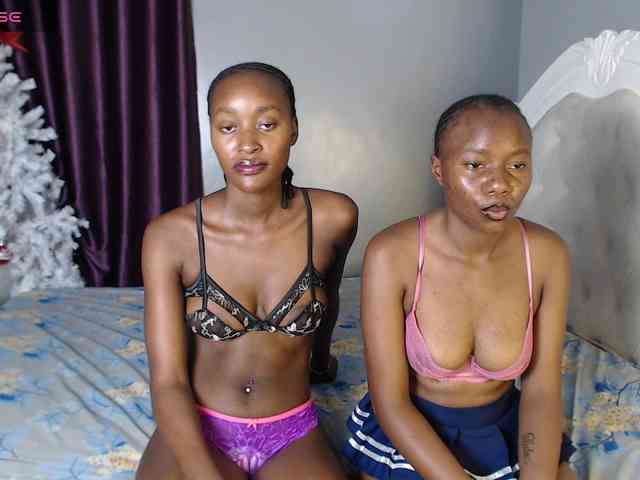 Secretarysandy2 webcam