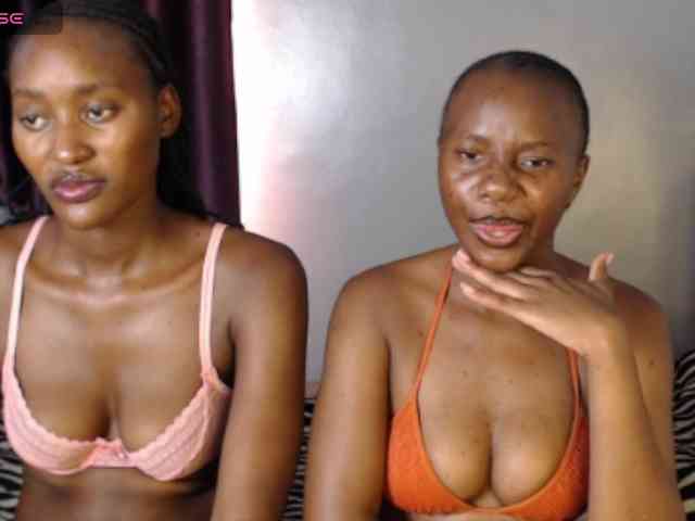 Secretarysandy2 webcam