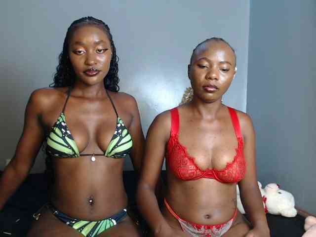 Secretarysandy2 webcam