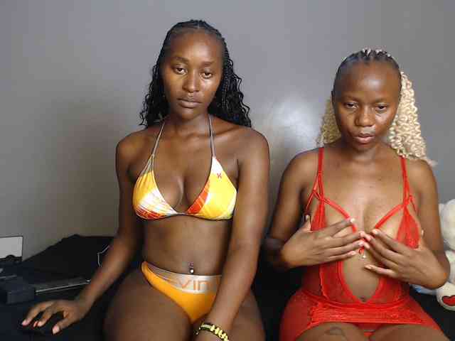 Secretarysandy2 webcam