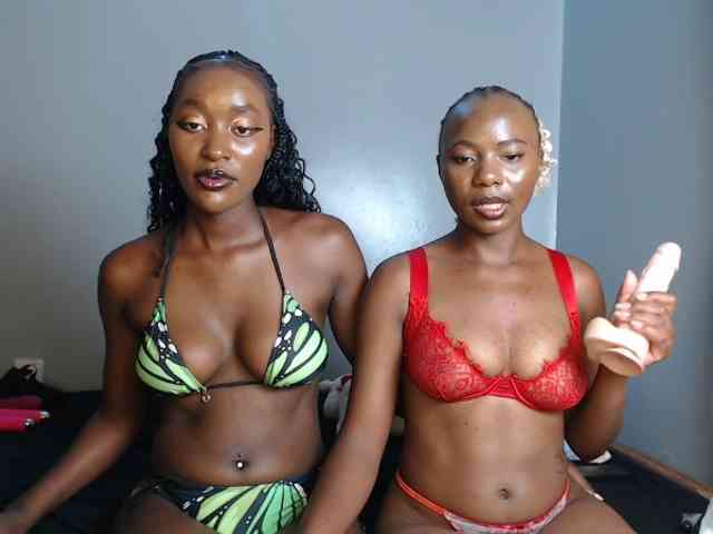 Secretarysandy2 webcam