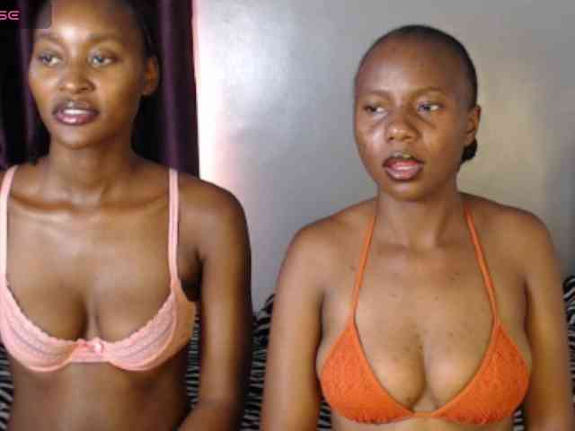 Secretarysandy2 webcam