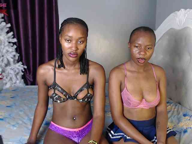 Secretarysandy2 webcam