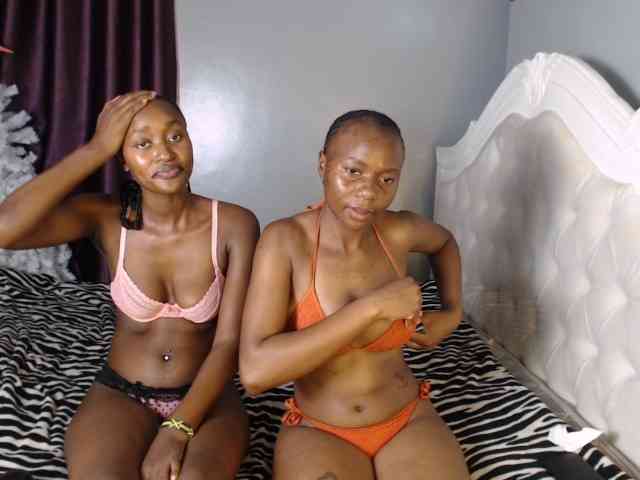 Secretarysandy2 webcam