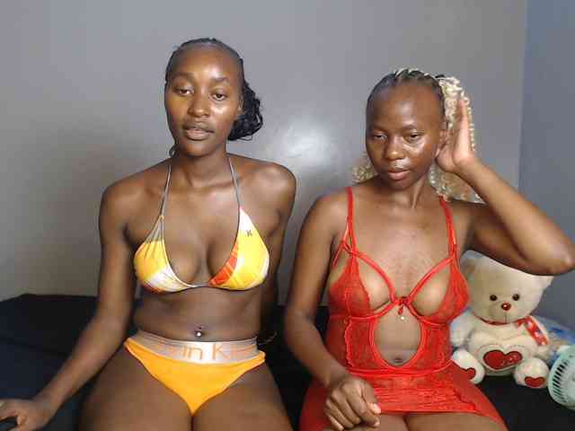 Secretarysandy2 webcam