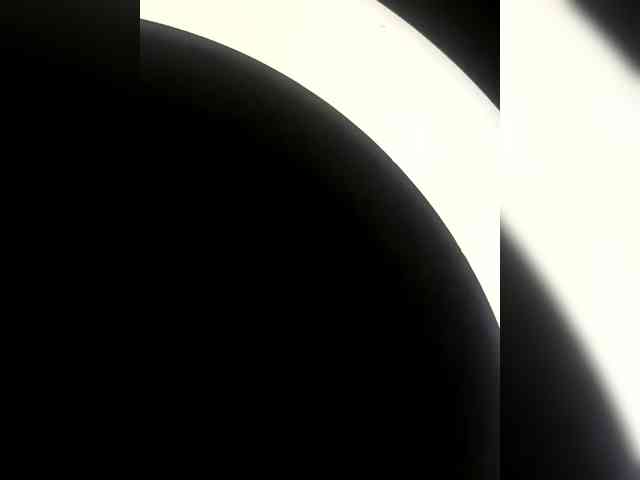 DAKOTA-BRAZEN webcam