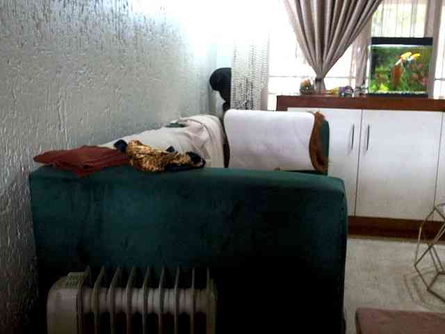 NewBeginnings8 webcam