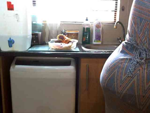 NewBeginnings8 webcam