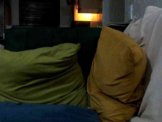 NewBeginnings8 webcam