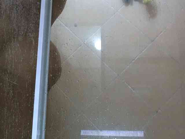 NewBeginnings8 webcam