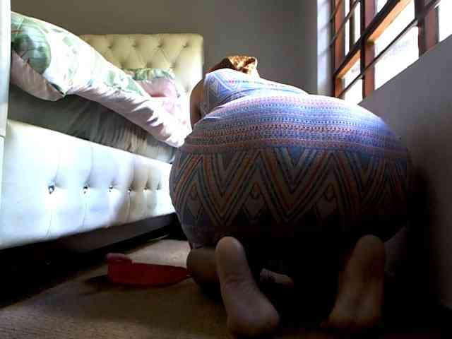 NewBeginnings8 webcam