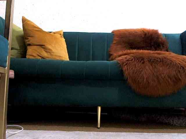 NewBeginnings8 webcam