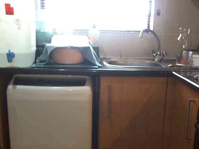 NewBeginnings8 webcam