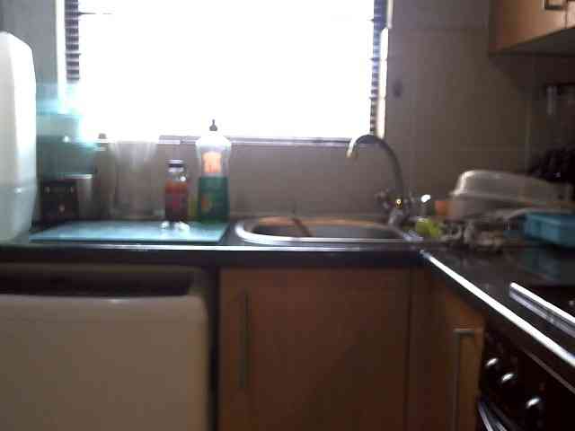 NewBeginnings8 webcam