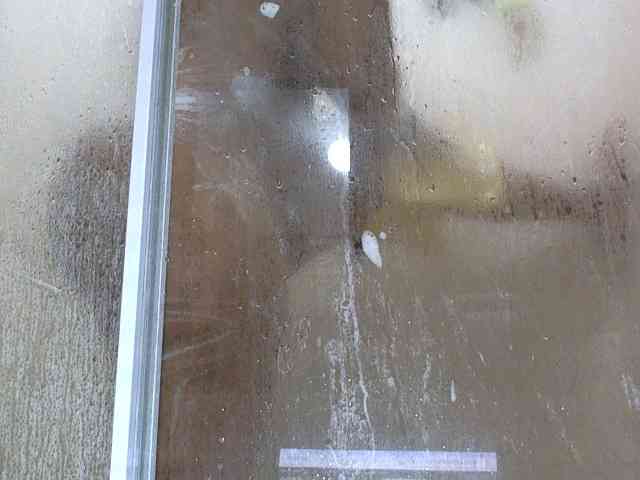 NewBeginnings8 webcam