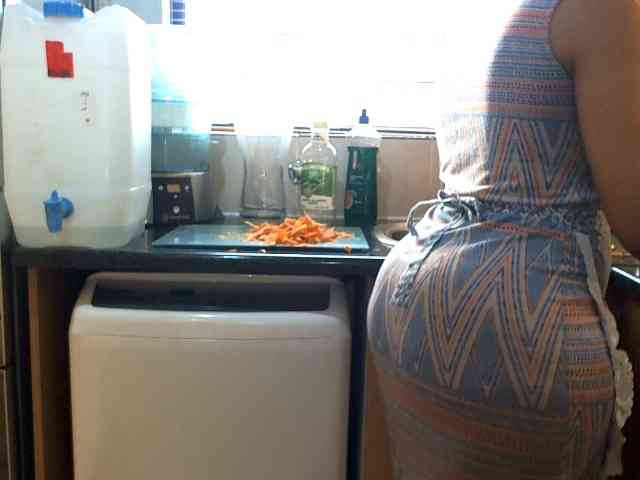 NewBeginnings8 webcam