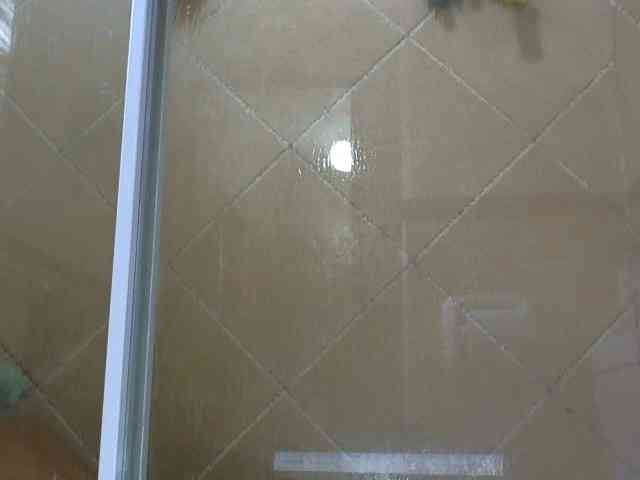 NewBeginnings8 webcam