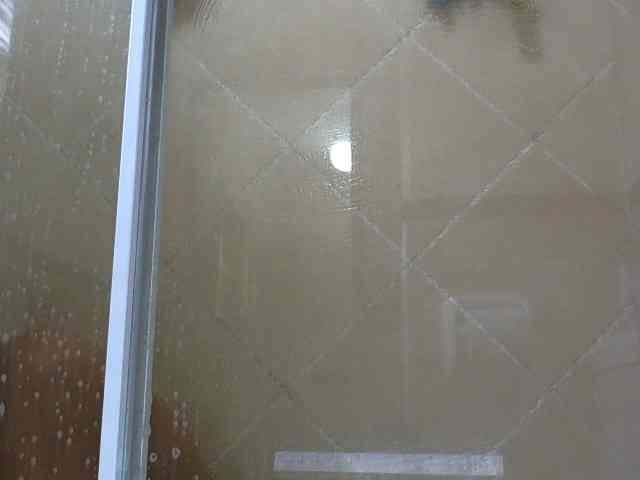 NewBeginnings8 webcam