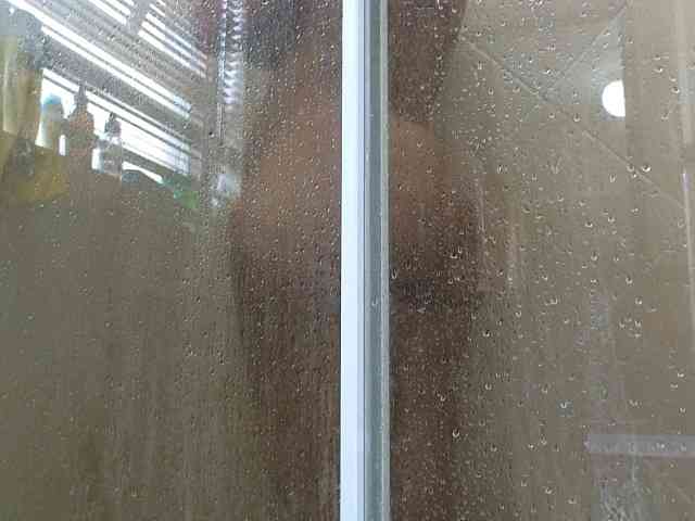 NewBeginnings8 webcam