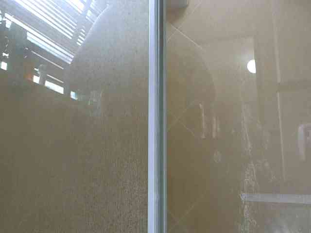 NewBeginnings8 webcam